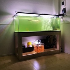 水槽1200の画像