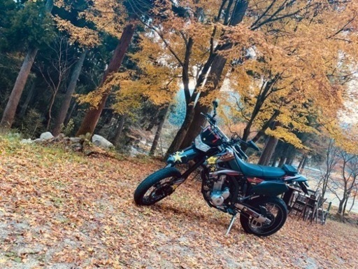 カワサキ　DトラッカーX