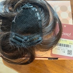 ヘアウィッグ②の画像