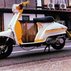 スズキ　蘭　ラン　RUN ca11aの画像