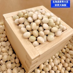 青大豆北海道（音更大袖振）
