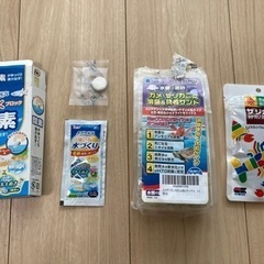 ザリガニ飼育セット