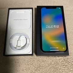 【極上美品】iPhone 12pro パシフィックブルー