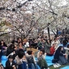 大阪8月〜9月 大規模なお友達つくり