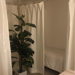 head spa comichi  ３０分1,500円〜 − 福岡県