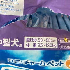 犬用マナーウェア(紙おむつ)26枚LL