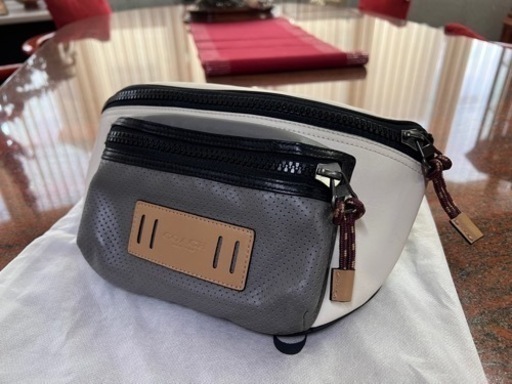 美品⭐︎コーチ⭐︎ショルダー⭐︎バッグパック⭐︎限定カラー⭐︎ホワイト