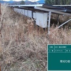 （簡単）低圧太陽光発電所の草刈り兼スマホで簡単な写真撮りの画像