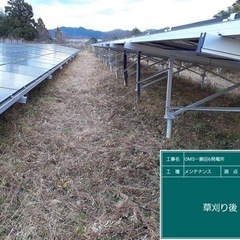 （簡単）低圧太陽光発電所の草刈り兼スマホで簡単な写真撮りの画像