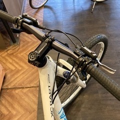 【前後タイヤ・チューブ新品！ルイガノ】3×9速　ディスクブレーキ　29インチマウンテンバイク　ホワイトの画像