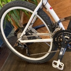 【前後タイヤ・チューブ新品！ルイガノ】3×9速　ディスクブレーキ　29インチマウンテンバイク　ホワイトの画像