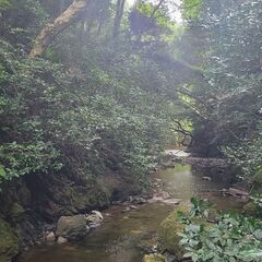 一緒に国内旅行に行けるお友達をさがしてます - メンバー募集