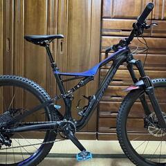 2018 STUMPJUMPER FSR COMP CARBON...