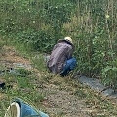 ★就労B型　利用者募集中★の画像