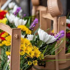 お墓参り代行、お墓掃除代行します 愛媛のお墓参り、お墓掃除代行はお任せ下さい - 今治市