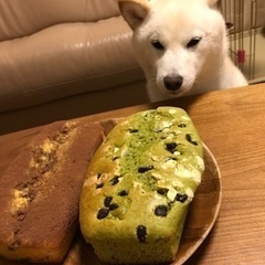 メンタルグルチャ✨
