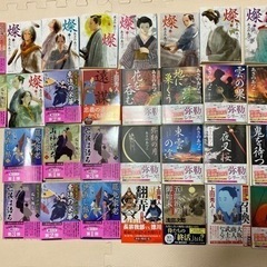 文庫本セット売り　30冊セット