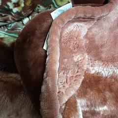 シングル2枚合わせの毛布の画像
