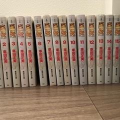 【3/4までの取引】聖闘士星矢　15巻セットの画像