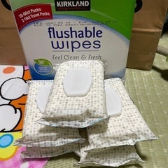 モイストフラッシャブルワイプ コストコトイレに流せるおしりふき