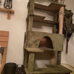 大型キャットタワーの画像