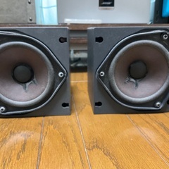 BOSE 101IT （壁・天井ブラケットCW-30B付属）の画像