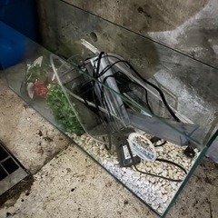 観賞魚部屋規模縮小に伴う余り物 水槽 餌 バケツ ライト ヒータ...
