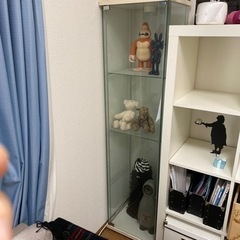 【無料】ガラスケース差し上げます