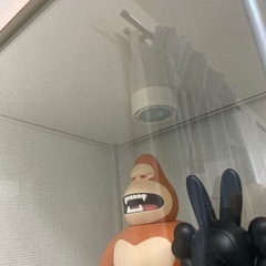 【無料】ガラスケース差し上げますの画像