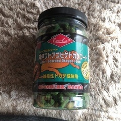 レップカルフード成体フトアゴヒゲトカゲフード！爬虫類