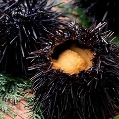 ファミレス/レストランのキッチンスタッフ 天草下田温泉での調理師...