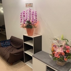 ボディケアスタッフ大募集の画像