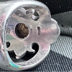 タディ＆キングの画像