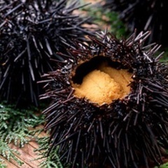 手作りメイン キッチンスタッフ 天草下田温泉での調理師■寮完備！移住者大歓迎■10代20代 調理師免許のみOKの画像