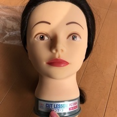 フォンテーヌ　カットウィッグ　未使用品　8個