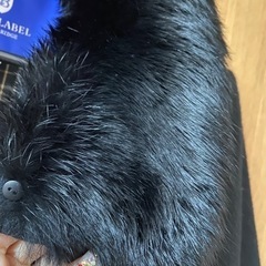 ブルーレーベル スタンドカラーコート ラビットファー