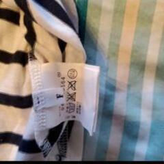 夏用 レディーストップス  ボーダー Tシャツの画像