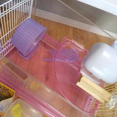 【ハムスターケージ飼育セット】の画像