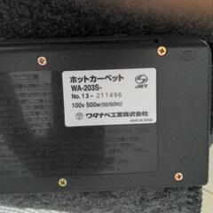 （お譲り先決定）【ラグのみ】ホットカーペットとラグの画像