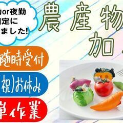 【嬉しい土日休み♪】農産物の加工〈網走〉