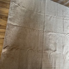 【ニトリ】カーペット ブラウンの画像