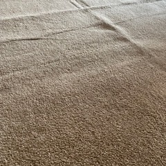 【ニトリ】カーペット ブラウンの画像