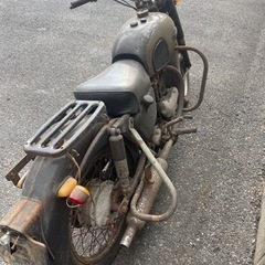 メグロの画像