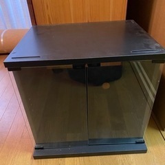 棚