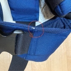 アップリカ　コランビギの画像