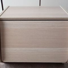 アイリスオーヤマ　扉付き収納　スタックボックス
