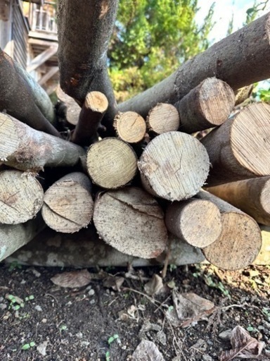 未乾燥　生の広葉樹　杉　ヒノキの丸太　薪　軽トラ平積み