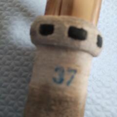 井岡竹刀女子37の画像