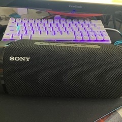 sony srs xb33