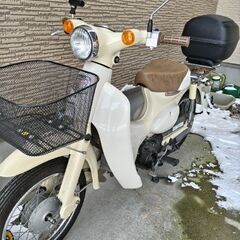 ホンダ リトルカブ 原付